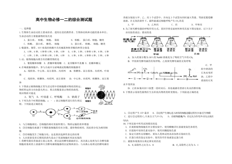 高一生物期末复习综合试题.doc_第1页