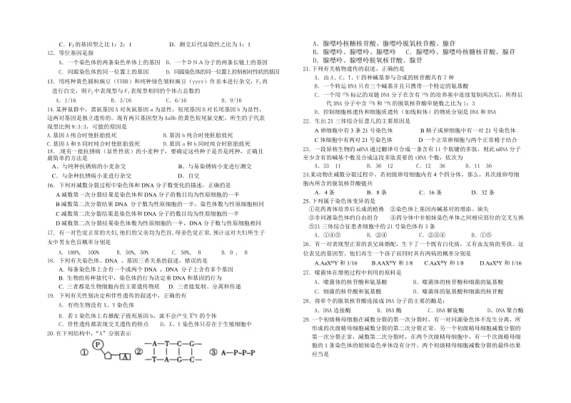 高一生物期末复习综合试题.doc_第2页