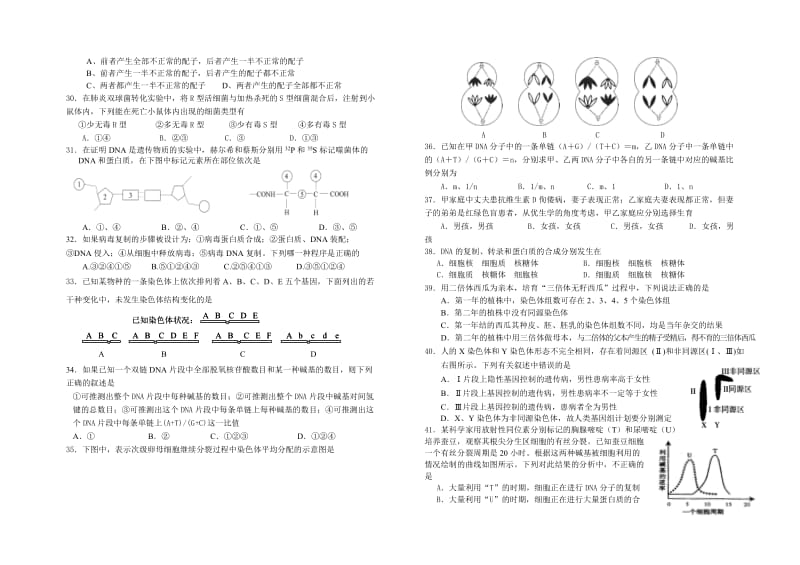 高一生物期末复习综合试题.doc_第3页