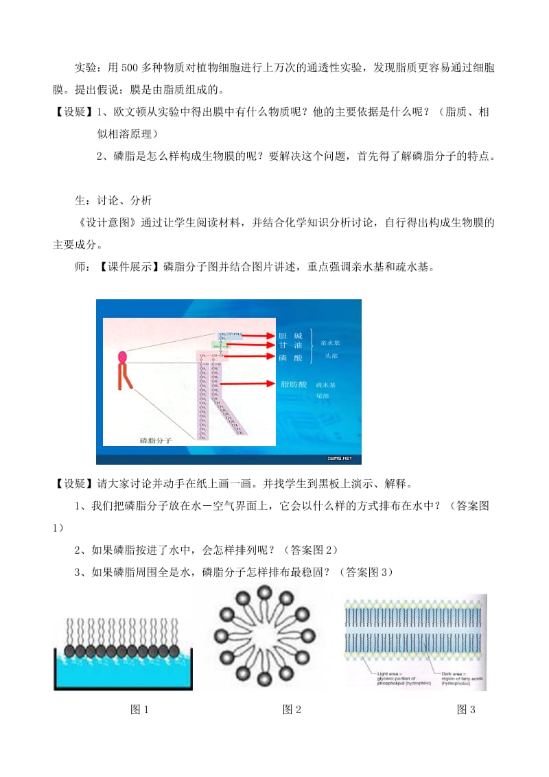 高中生物优秀课例-生物膜的流动镶嵌模型.doc_第3页