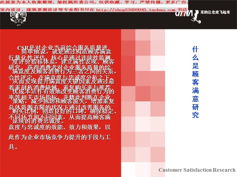 caina顾客满意度研究PPT模板.ppt_第2页