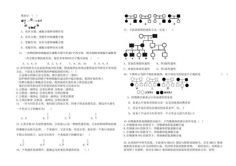 高一生物必修二月考试题.doc_第2页