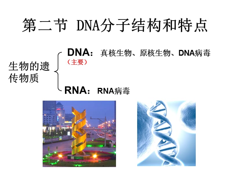 DNA分子结构和特点.ppt_第1页