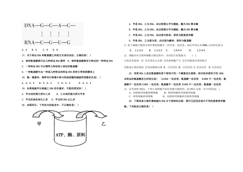 高一生物必修二月考检测题.doc_第2页