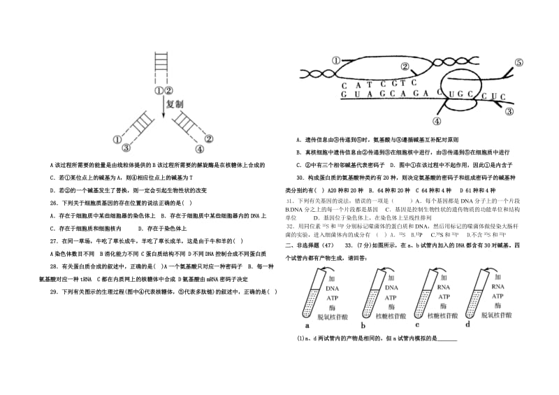 高一生物必修二月考检测题.doc_第3页