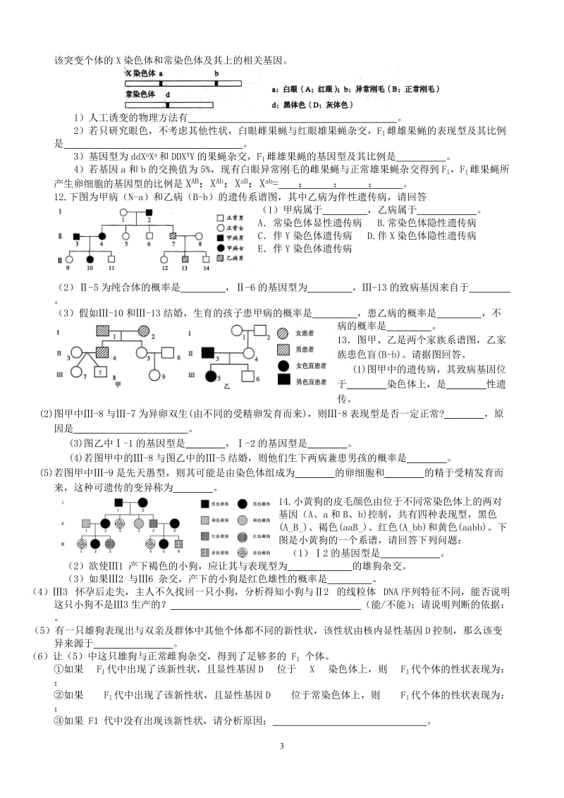 高考生物遗传系谱图专题训练.doc_第3页