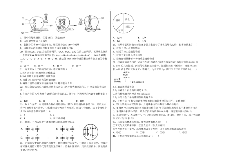 高中生物必修2卷1学生.docx_第2页