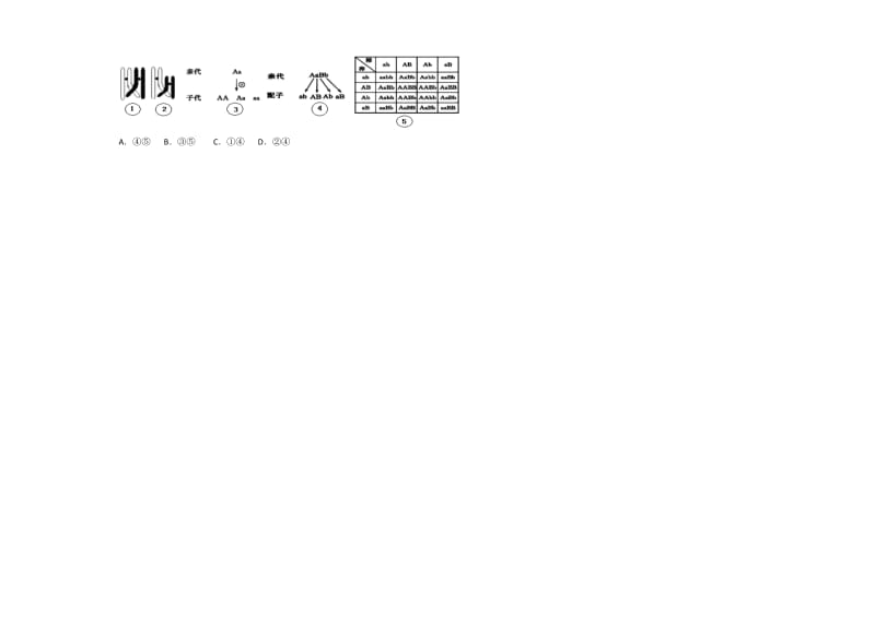 高中生物必修2卷1学生.docx_第3页