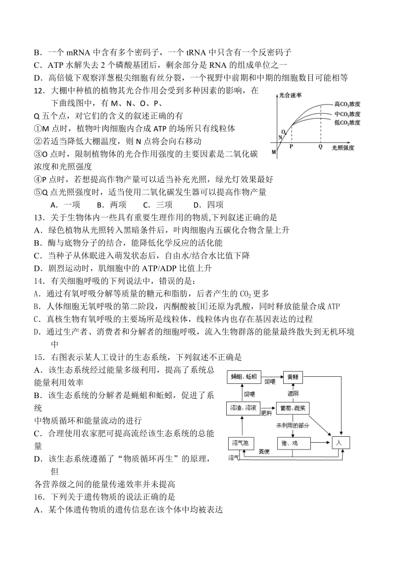 高三生物综合试题.doc_第3页