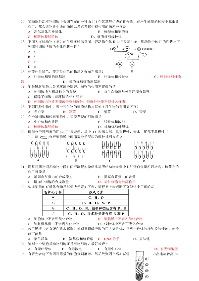 高中生物必修1模块阶段性测试.doc_第3页