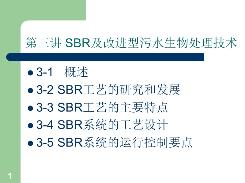 《SBR工艺》PPT课件.ppt_第1页