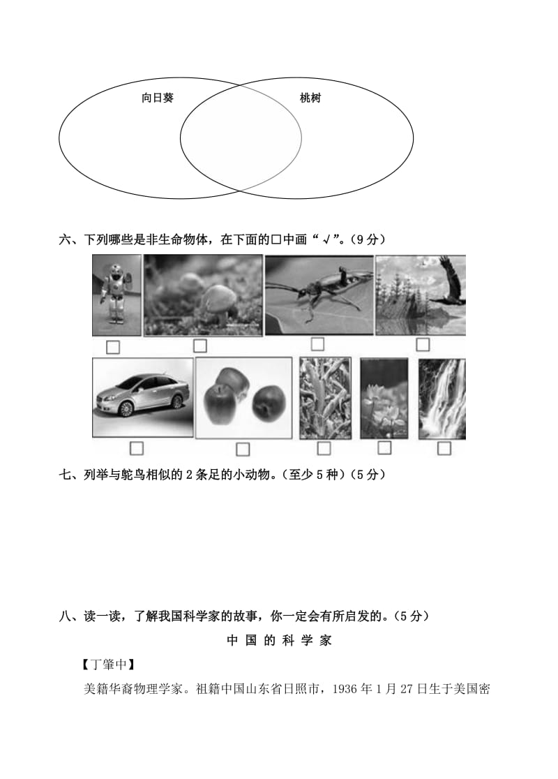 苏教版六年制小学科学三年级上册期中试卷.doc_第3页