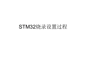 STM32烧录设置过程.ppt