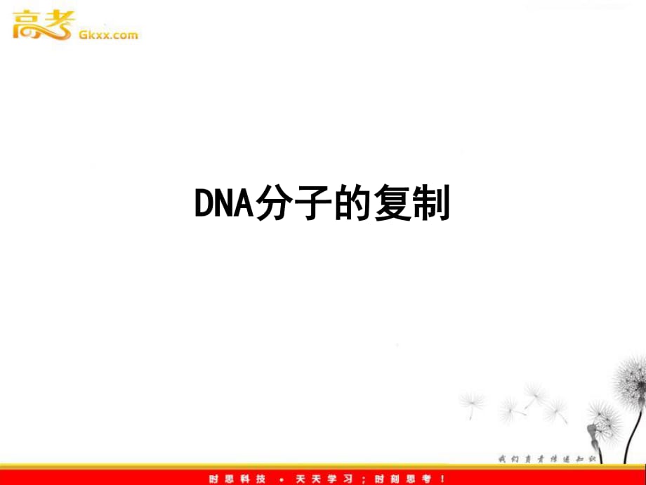 《DNA分子的复制终》PPT课件.ppt_第1页