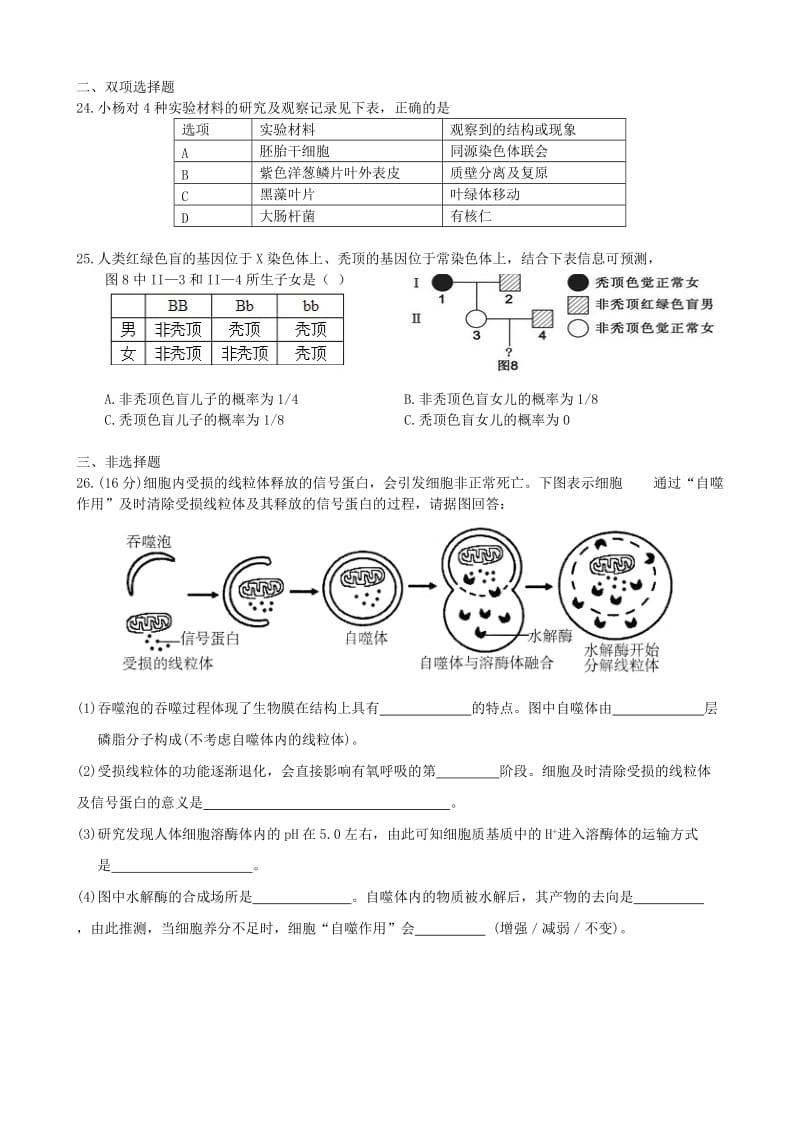 深圳中学2015届高三年级阶段测试(一)生物试题.doc_第2页