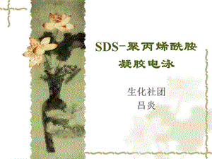 SDS聚丙烯酰胺凝膠電泳法測(cè)定蛋白質(zhì)分子量.ppt