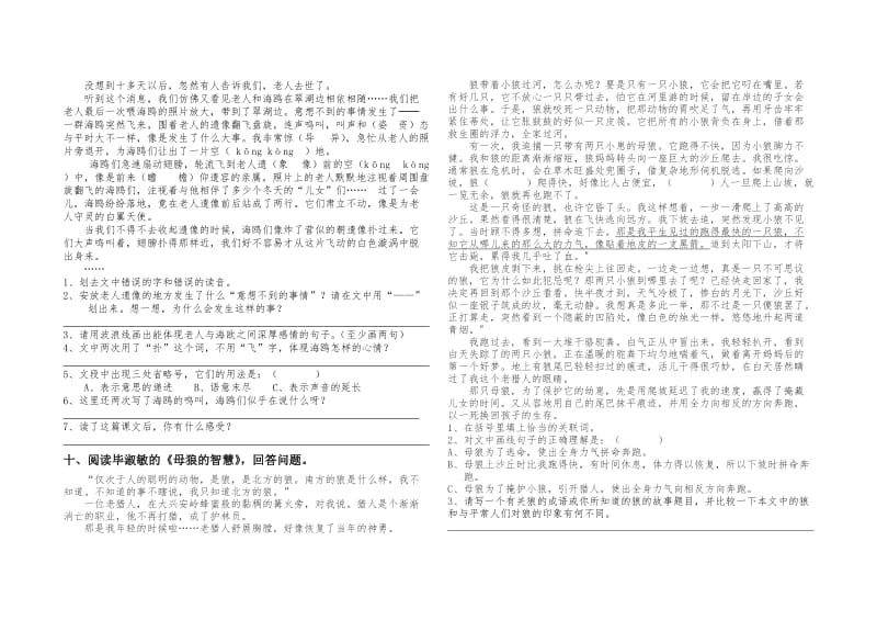 城区六年级语文上期第七单元过关题.doc_第2页