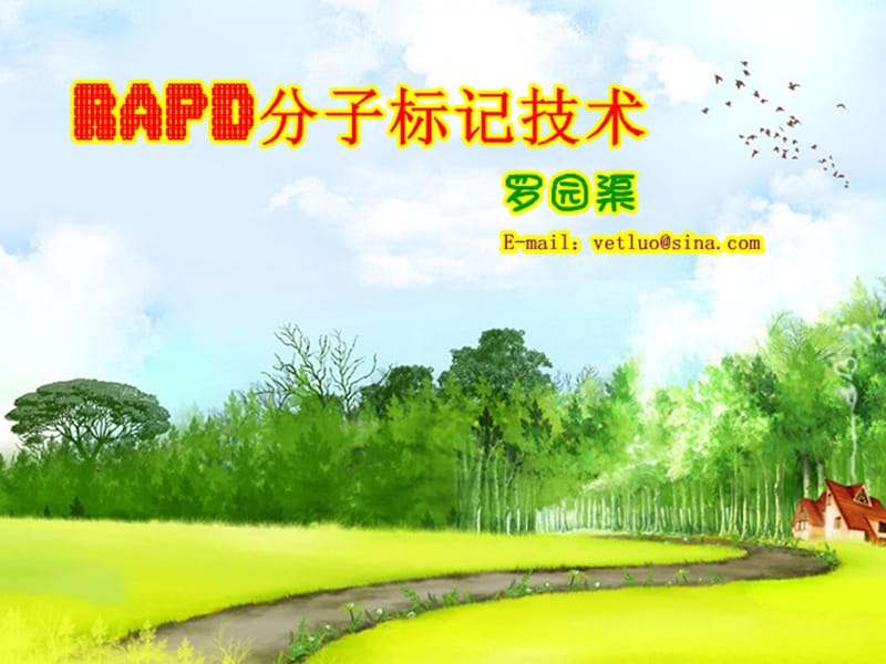 《RAPD分子标记技术》PPT课件.ppt_第1页