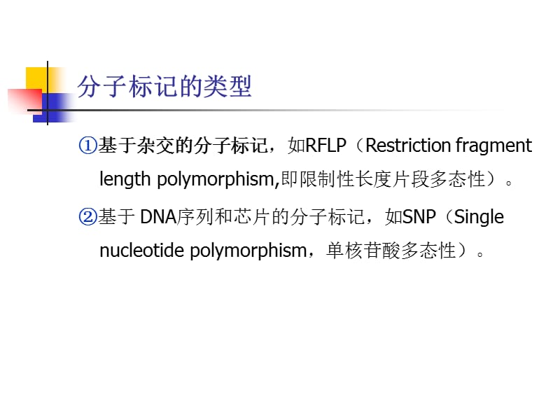 《RAPD分子标记技术》PPT课件.ppt_第2页