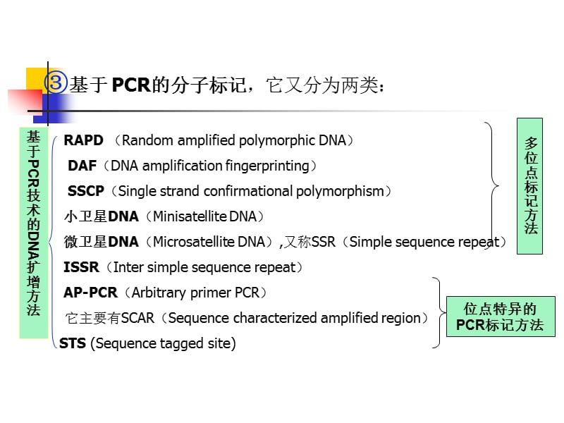 《RAPD分子标记技术》PPT课件.ppt_第3页