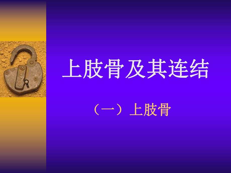 《上肢骨及连结》PPT课件.ppt_第1页