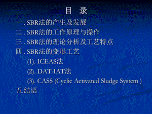 《SBR及SBR變形工藝》PPT課件.ppt