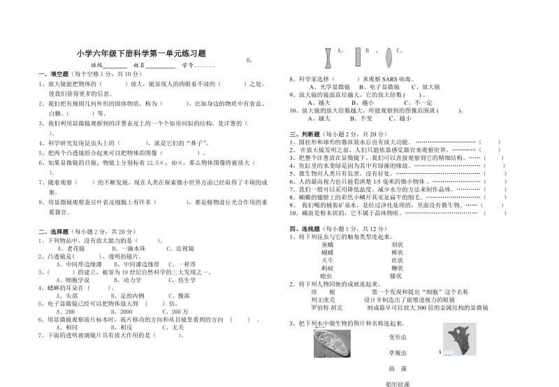 科学六年级下册试题.doc_第1页