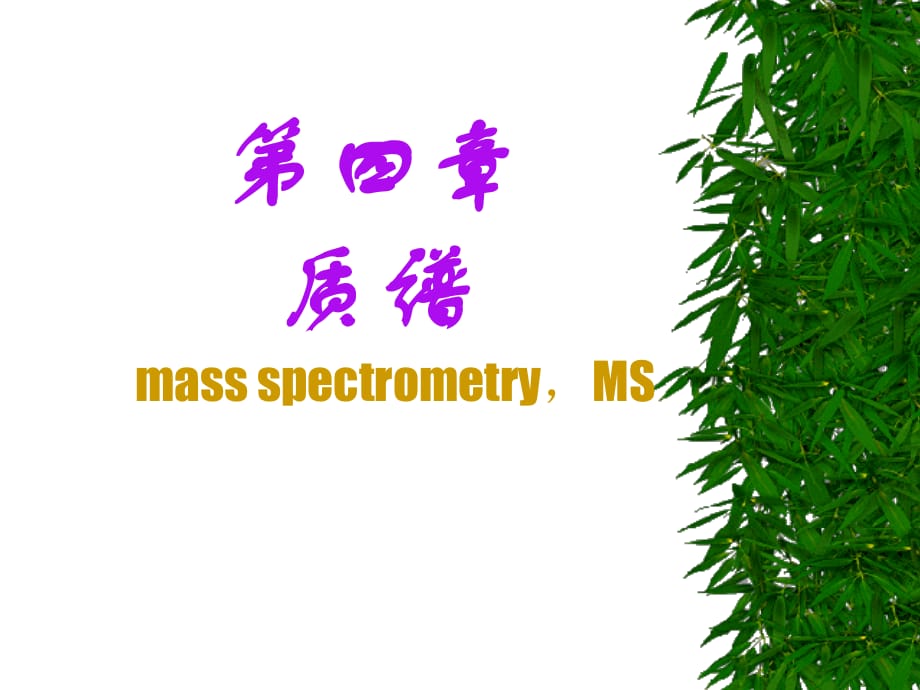 《MS1原理和仪器》PPT课件.ppt_第1页