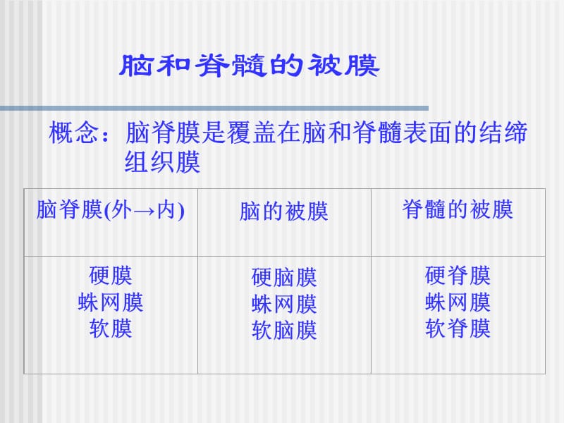 《cns被膜和血管》PPT课件.ppt_第3页