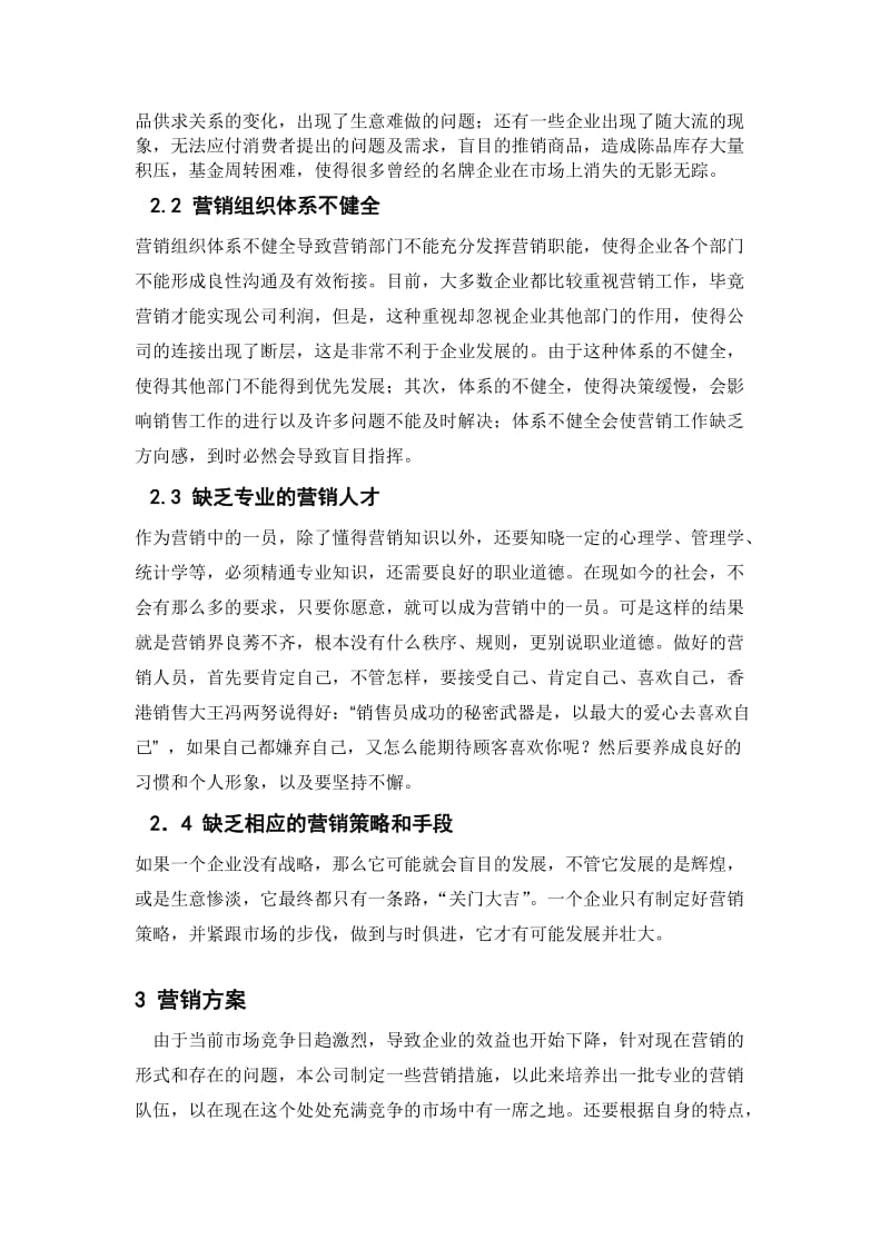 某企业营销方案设计.doc_第2页