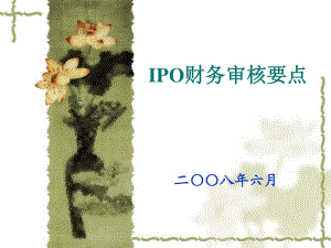 《IPO财务审核要点》PPT课件.ppt