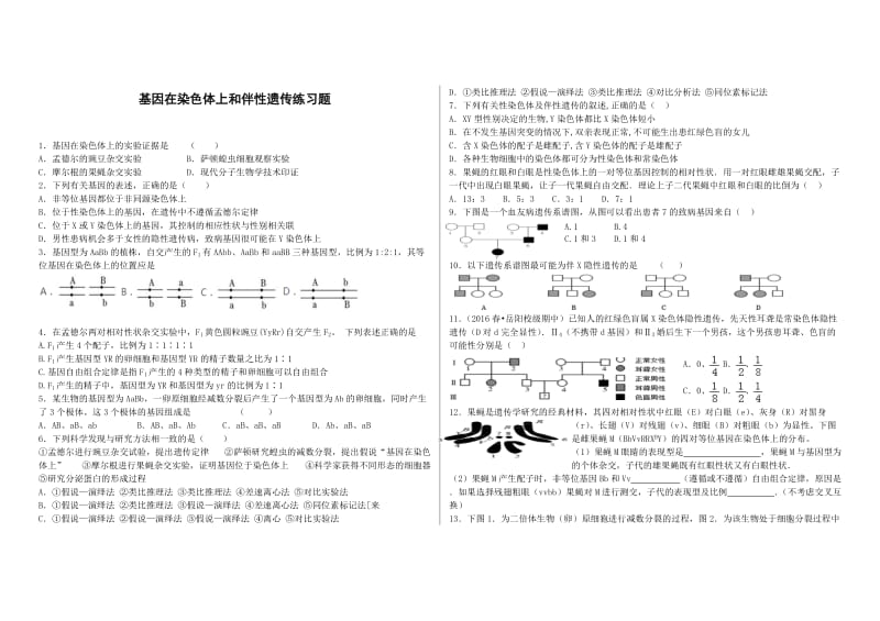 基因在染色体上和伴性遗传练习题.doc_第1页