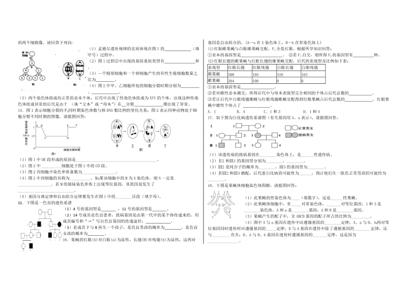 基因在染色体上和伴性遗传练习题.doc_第2页