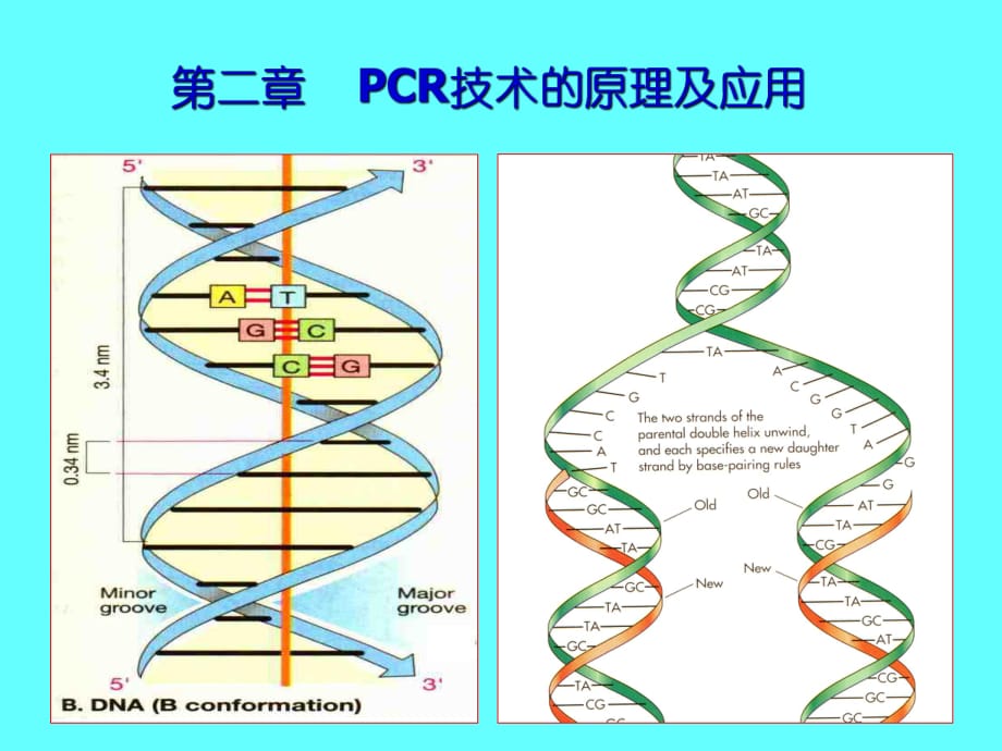 《CR的原理與應(yīng)用》PPT課件.ppt_第1頁(yè)