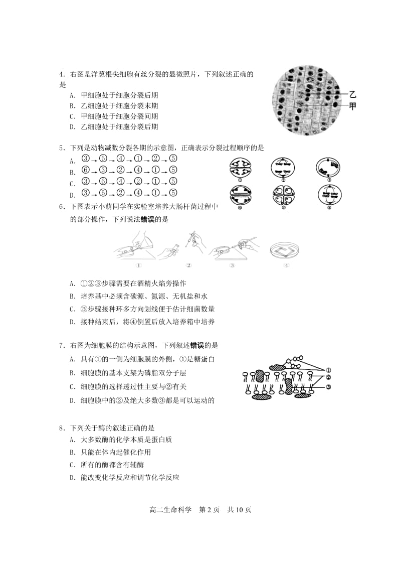 2019松江生物一模(有答案).doc_第2页