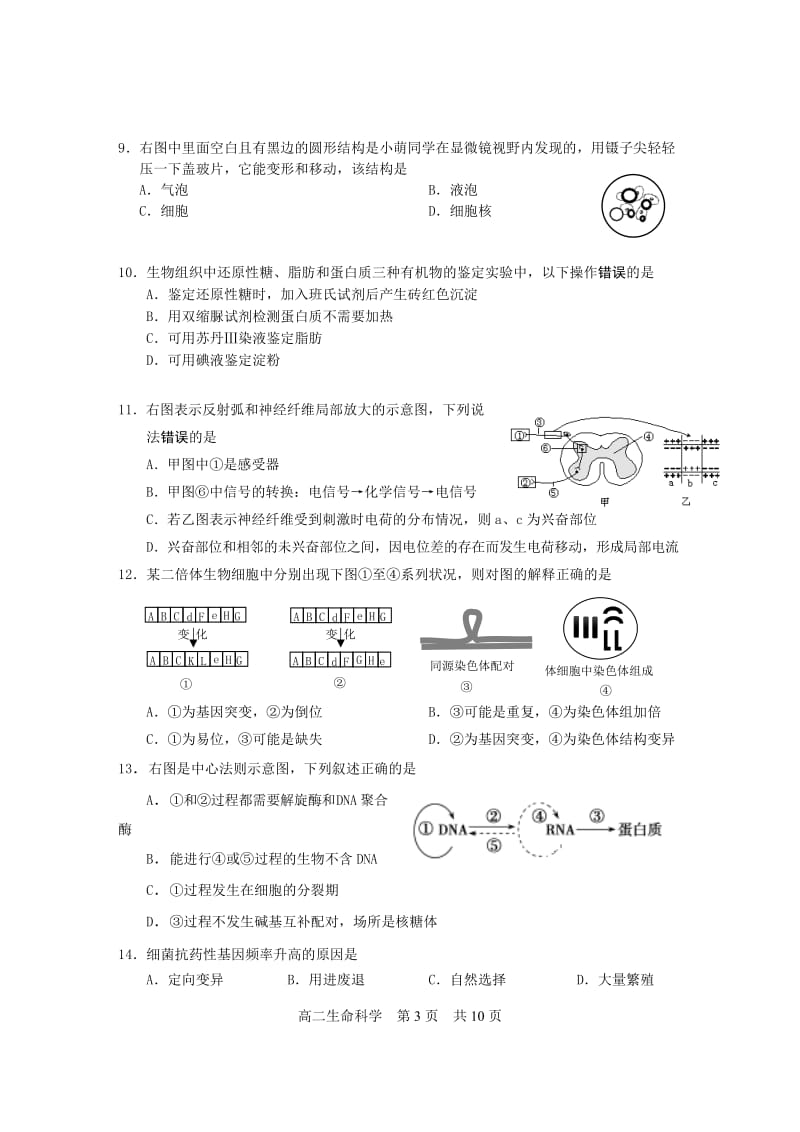 2019松江生物一模(有答案).doc_第3页