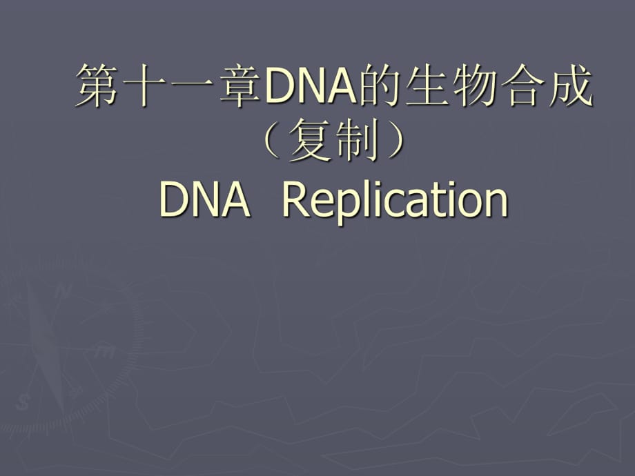 《DNA的生物合成》PPT課件.pptx_第1頁