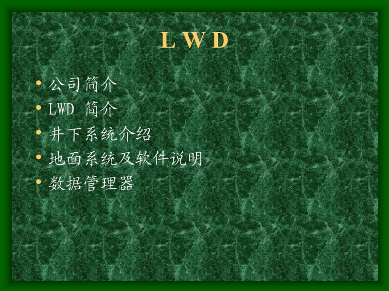 《LWD基础理论培训》PPT课件.ppt_第2页