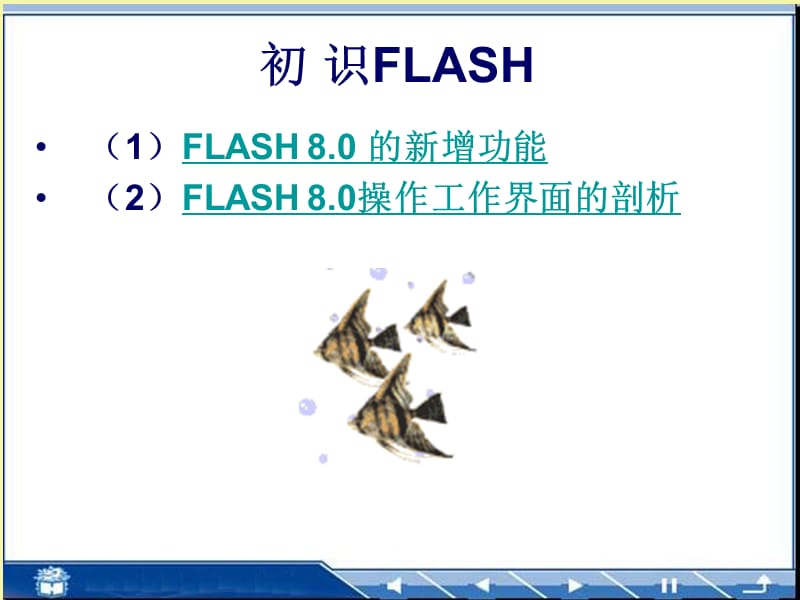 《Flash电子》PPT课件.ppt_第2页