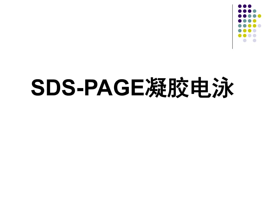 《SDSPAGE凝膠電泳》PPT課件.ppt_第1頁(yè)