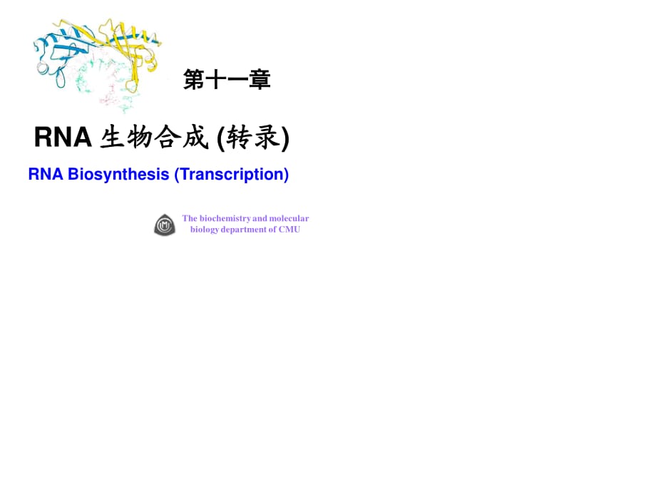 《rna生物合成》PPT課件.ppt_第1頁(yè)