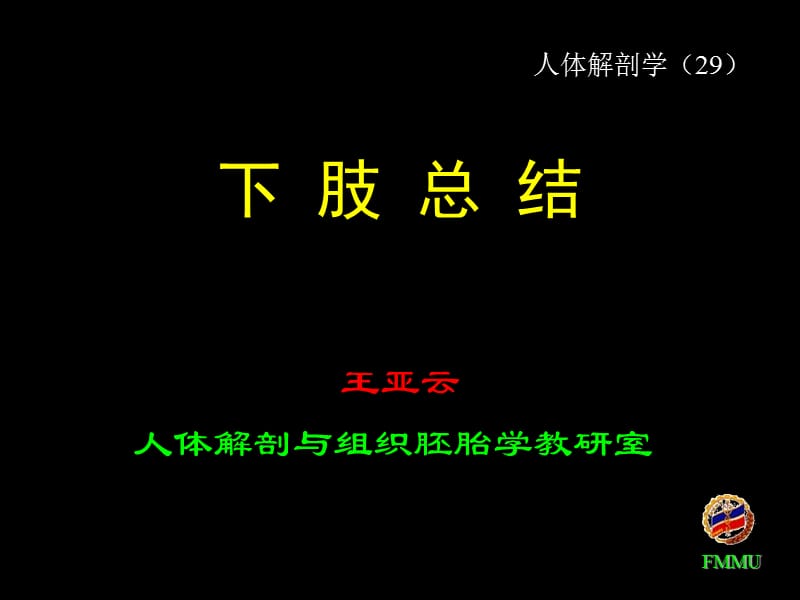 《下肢总结》ppt课件.ppt_第1页