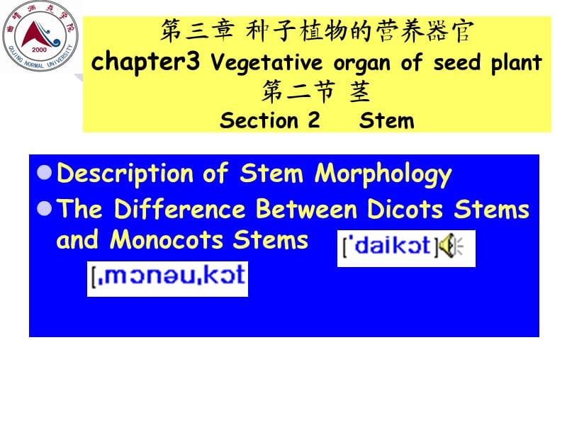 《stem植物学》PPT课件.ppt_第1页