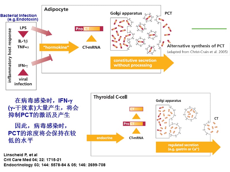 《CT在ICU的应用》PPT课件.ppt_第3页