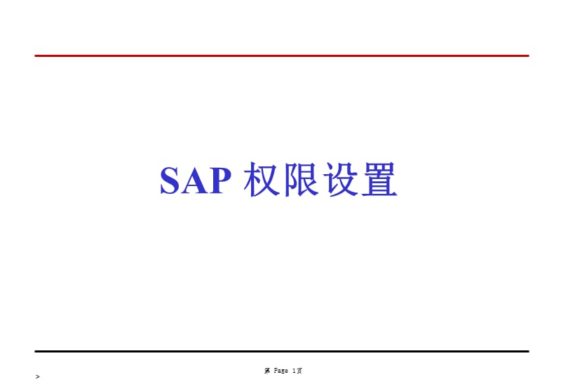 《SAP权限设定》PPT课件.ppt_第1页