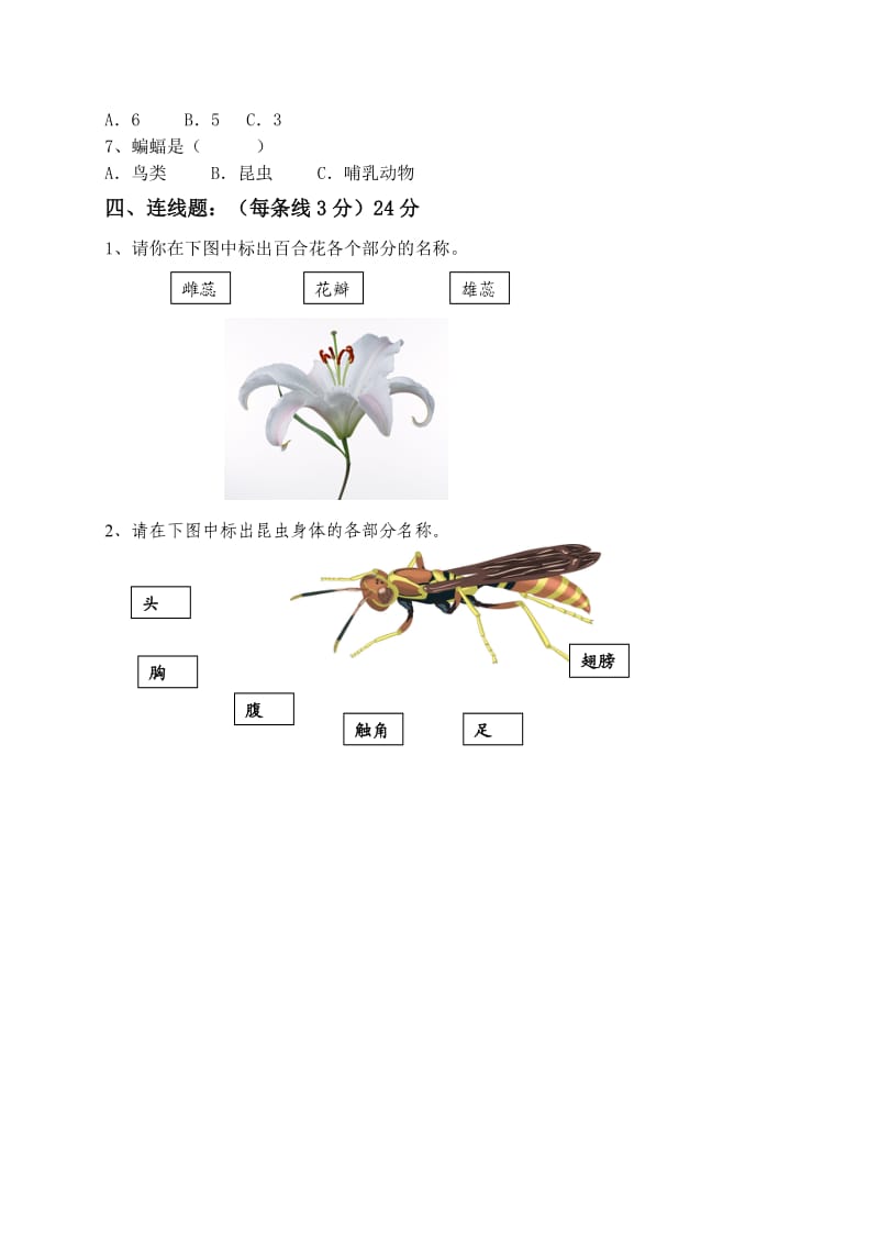 宝山区小学自然科教版三年级第一学期期末考查卷.doc_第2页