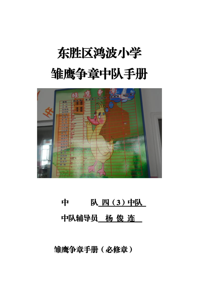 鸿波小学四三班雏鹰争章手.doc_第1页