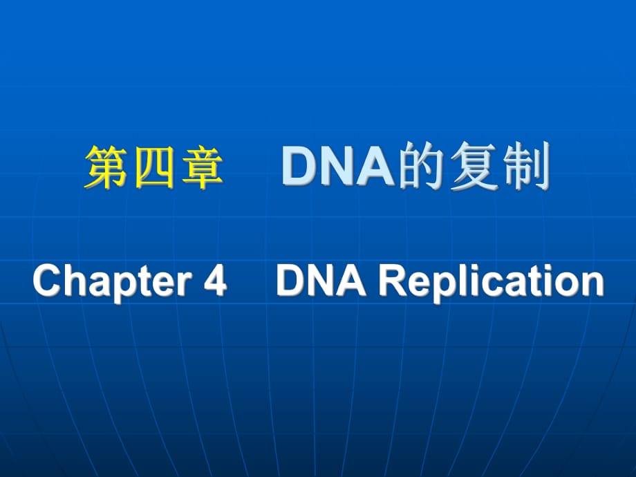 《DNA復(fù)制》PPT課件.ppt_第1頁