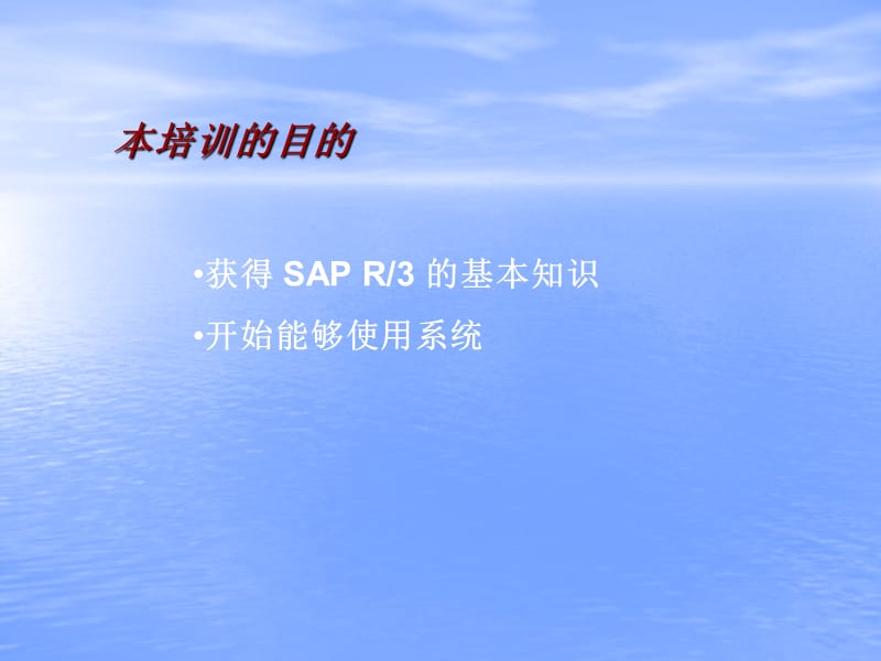 《SAP用户培训》PPT课件.ppt_第3页