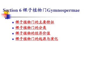 Section6裸子植物門(mén)Gymnosperma.ppt